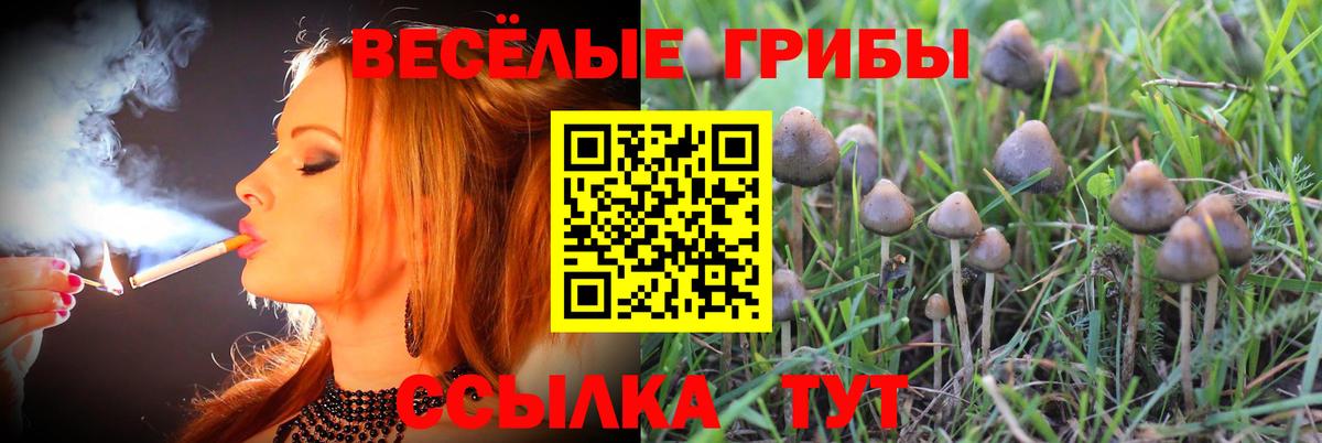 Анапа  Псилоцибиновые грибы мицелий  Вход с VPN 